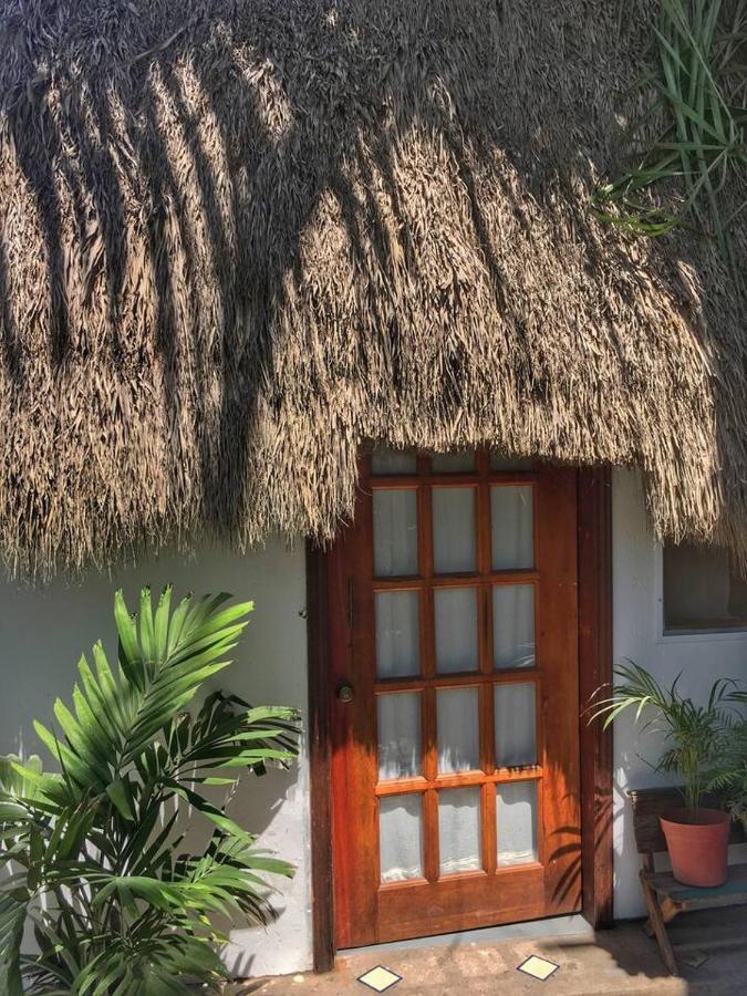Palapa Chili # Villa Sayulita Exteriör bild