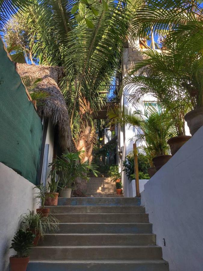Palapa Chili # Villa Sayulita Exteriör bild