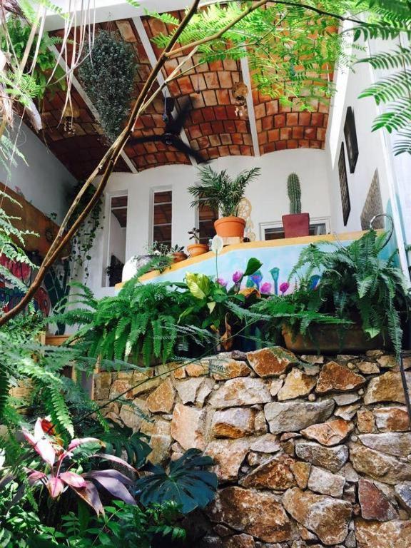 Palapa Chili # Villa Sayulita Exteriör bild