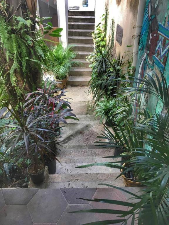 Palapa Chili # Villa Sayulita Exteriör bild