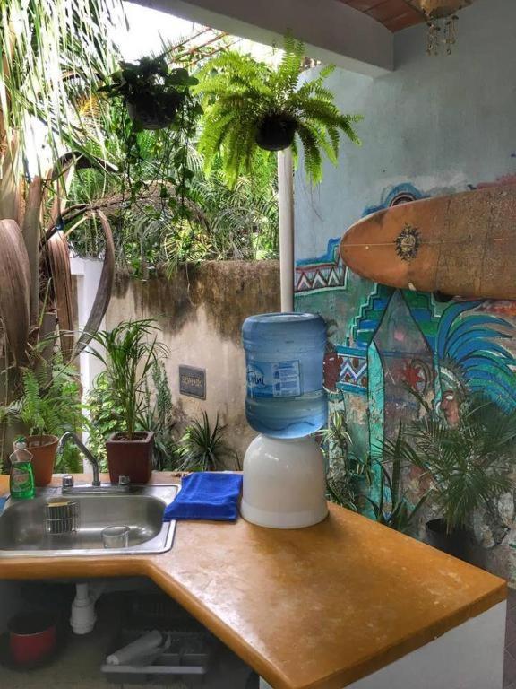 Palapa Chili # Villa Sayulita Exteriör bild